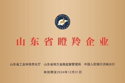 热烈庆祝自动缠绕包装机厂家深蓝机器荣获山东省瞪羚企业荣誉
