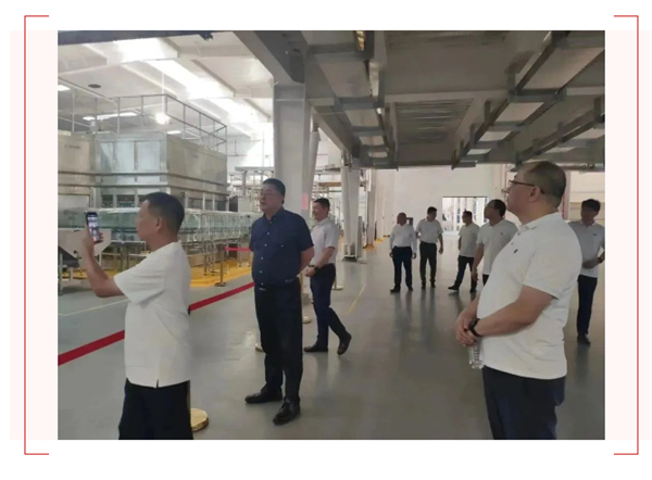 刚玉智能 | 恭贺东莞市珠江啤酒扩建工程项目顺利投产 刚玉智能 | 恭贺东莞市珠江啤酒扩建工程项目顺利投产